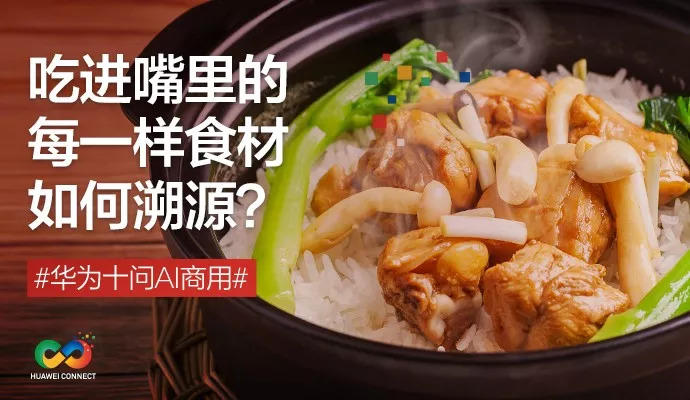 这碗黄焖鸡米饭，是哪里的鸡，怎样的米？