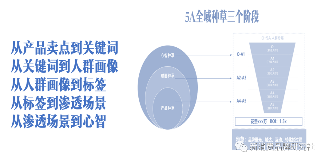 品牌种草三阶段：产品种草、破圈种草、心智种草（5000字，需耐心）